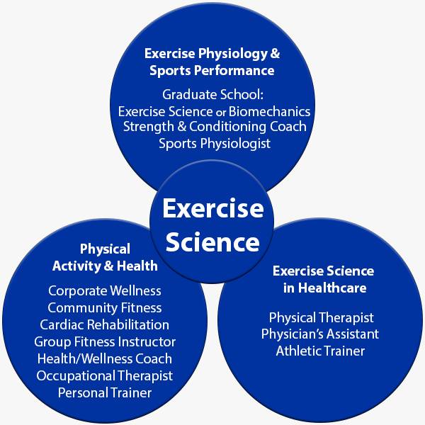 Potential careers associated with each of the three exercise science emphasis areas